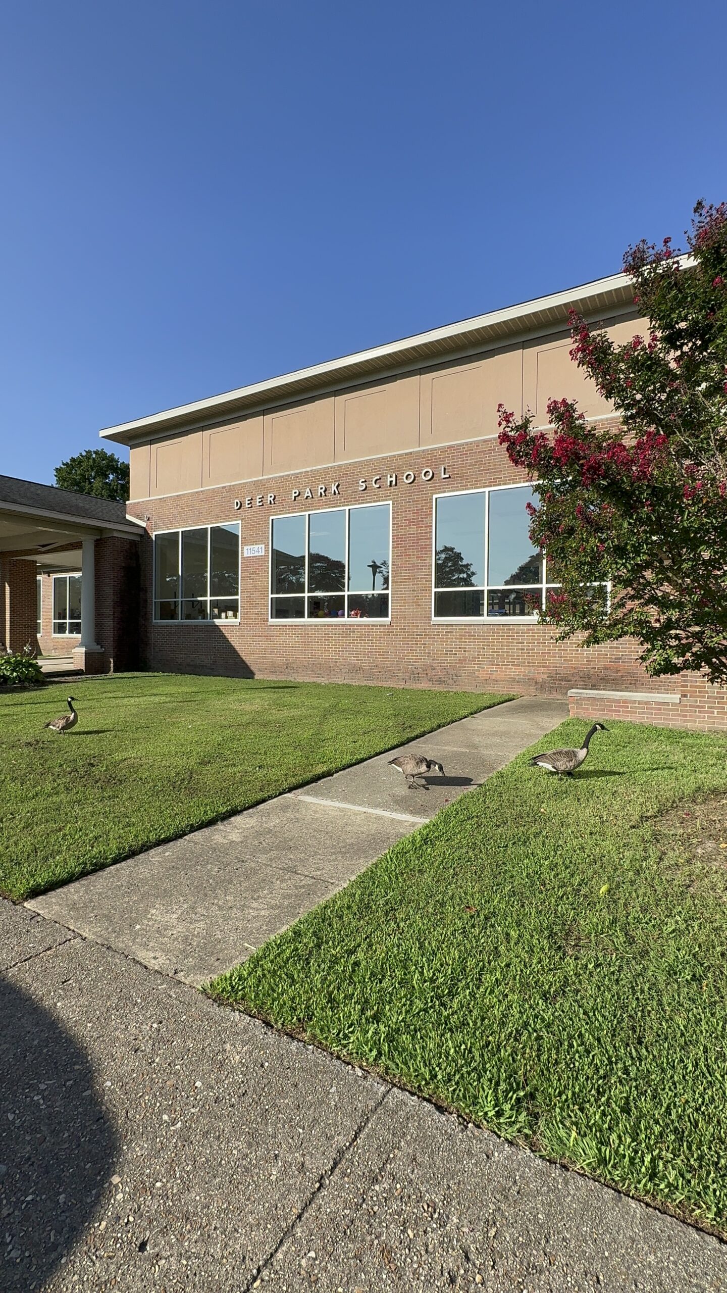 Deer park Elementary school 